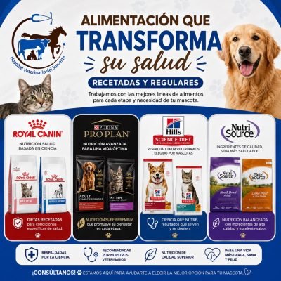 Hospital Veterinario (1)
