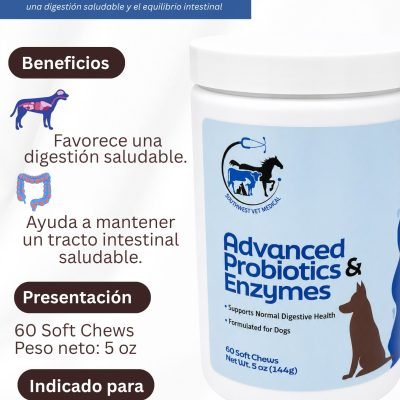 Hospital Veterinario (10)