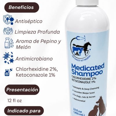 Hospital Veterinario (11)