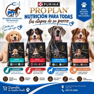 Hospital Veterinario (2)