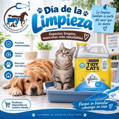 Hospital Veterinario (3)