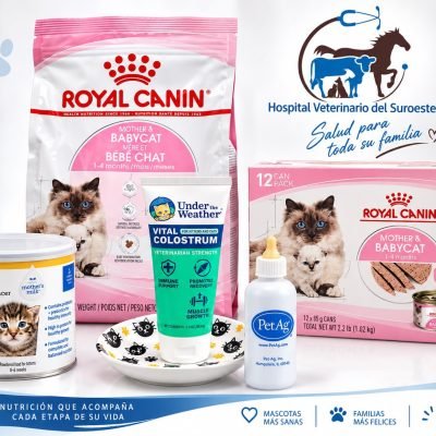 Hospital Veterinario (5)