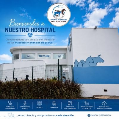 Hospital Veterinario (6)