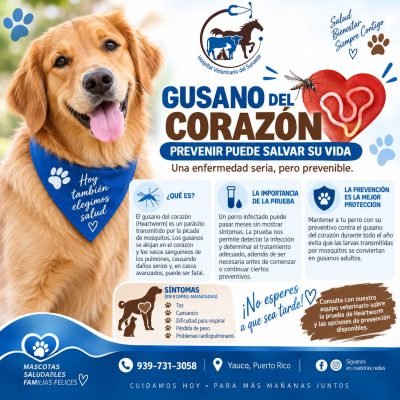 Hospital Veterinario (7)